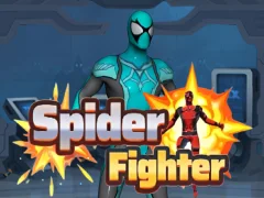 Mäng Spider Fighter Internetis