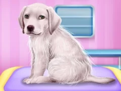 Mäng Labrador at the doctor salon Internetis