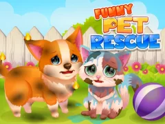 Mäng Funny Rescue Pet Internetis