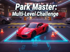 Mäng Park Master: Multi-Level Challenge Internetis