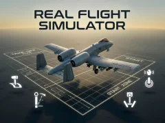 Mäng Real Flight Simulator Internetis