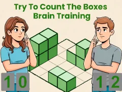 Mäng Try To Count The Boxes Brain Training Internetis