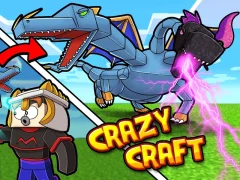 Mäng Crazy Craft Internetis