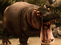 Mäng Wild Hippopotamus Hunting Internetis