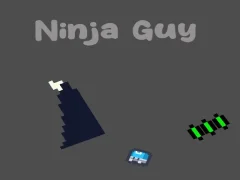 Mäng Ninja Guy Internetis