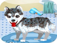 Mäng My Cute Dog Bathing Internetis
