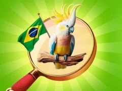Mäng Hidden Objects: Vacation in Brazil Internetis