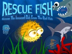 Mäng Rescue Fish Internetis