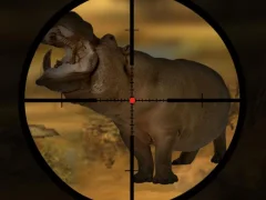 Mäng Classical Hippo Hunting Internetis