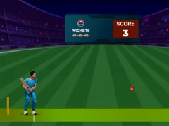 Mäng Cricket Night 2 Internetis