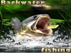 Mäng Backwater Fishing Internetis
