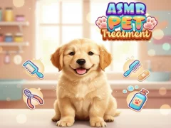 Mäng Asmr Pet Treatment Internetis