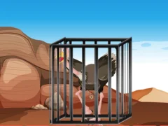 Mäng Emu Key Quest Internetis