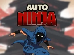 Mäng Auto Ninja Internetis