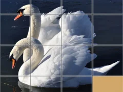 Mäng Animals Slide Puzzle Internetis