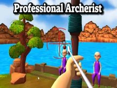 Mäng Professional Archerist Internetis