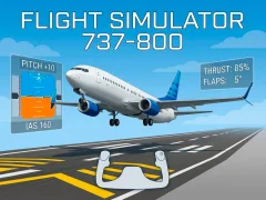 Mäng Flight Simulator 737-800 Internetis