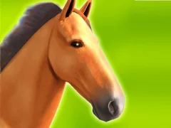 Mäng Horse Run 3D Internetis