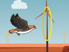 Mäng Flying bird Internetis