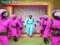 Mäng Squid Maze Challenge Internetis
