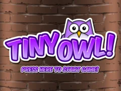 Mäng Tiny Owl Internetis