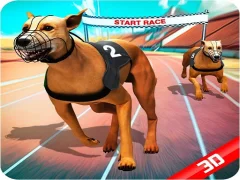 Mäng Crazy Dog Race Internetis