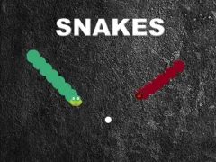 Mäng Snakes Internetis