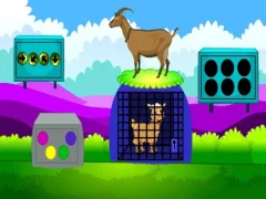 Mäng Lamb Escape Internetis