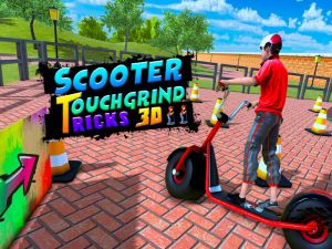 Mäng Tõukeratas Touchgrind trikid 3D Internetis