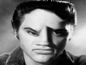 Mäng Elvis naljakas nägu Internetis