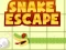 Mäng Snake escape Internetis