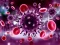 Mäng Coronavirus Puzzle Internetis