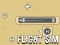 Mäng Flight Sim Internetis