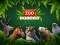 Mäng ZOO Trivia Internetis
