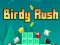 Mäng Birdy Rush Internetis