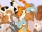 Mäng Find The Kitty Internetis