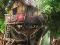 Mäng Hidden Treehouse Internetis