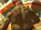 Mäng Monster Simulator Internetis