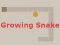 Mäng Growing Snake Internetis