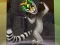 Mäng King Julien: Trommel-Tanz Internetis
