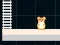 Mäng Hamster Grid Even Odd Internetis