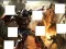 Mäng Transformers 3 image puzzles Internetis