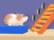 Mäng Hamster Stack Maze Internetis