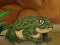 Mäng Frogs Matching Internetis