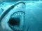 Mäng Hungry Shark Internetis