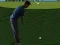 Mäng Flash Golf 3D Internetis