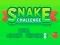 Mäng Snake Challenge Internetis