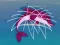 Mäng Dolphin Rescue Internetis