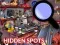 Mäng Hidden Spots In The Room Internetis