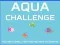 Mäng Aqua Challenge Internetis